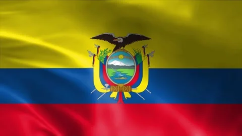 Equador Flag Stock Footage 262499828