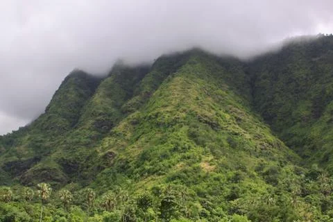 Equatorial forest with mountain tip in the clouds Stock Photos