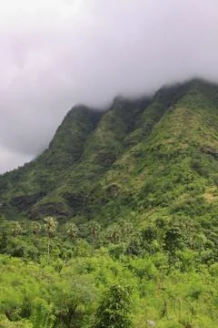 Equatorial forest with mountain tip in the clouds Stock Photos
