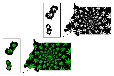 Equatorial Guinea - map is designed cannabis leaf Stock Illustration