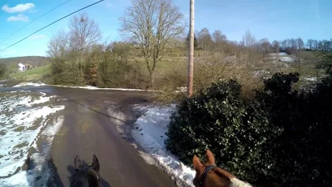An Equestrian and riding out Video stock 149040628