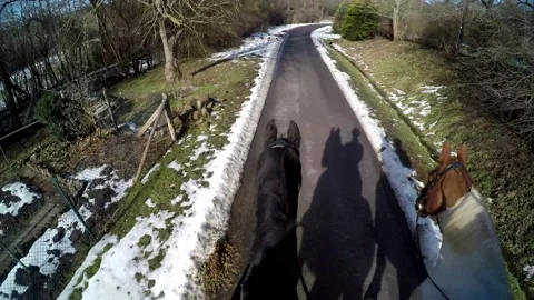 An Equestrian and riding out Video stock 149041632