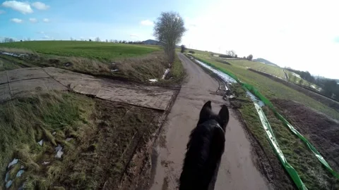 An Equestrian and riding out Video stock 149042035