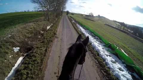 An Equestrian and riding out Video stock 149042379