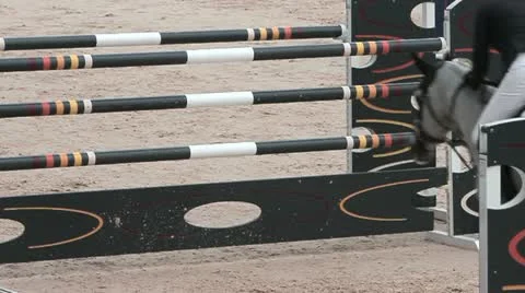 Equestrian competition 動画素材 10911413