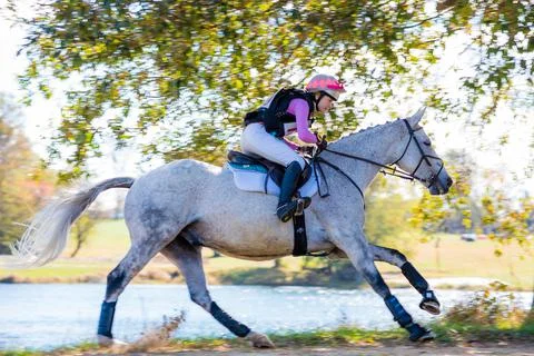 Equestrian competition photos including hunter jumper and cross country horse Foto stock