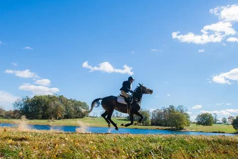 Equestrian competition photos including hunter jumper and cross country horse Stock Photos