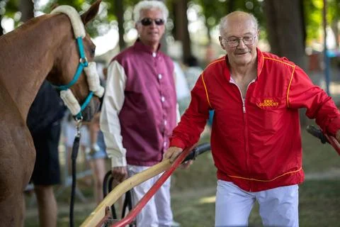 Equestrian driver moving harness racing sulky cart at airfield Stock Photos