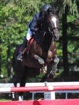 Equestrian Event Stock Photos