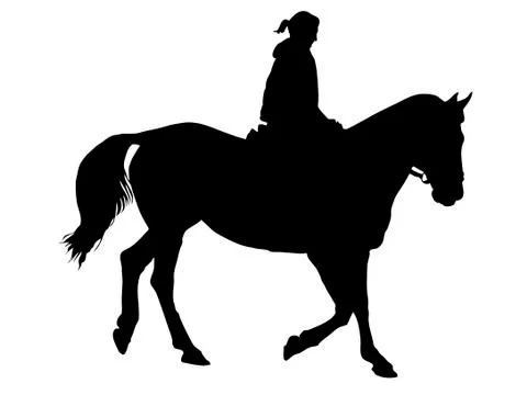 The equestrian on a horse. Stock Illustration