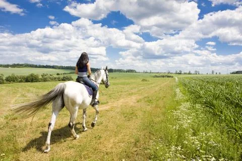 Equestrian on horseback Stock Photos