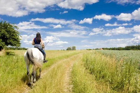 Equestrian on horseback Stock Photos