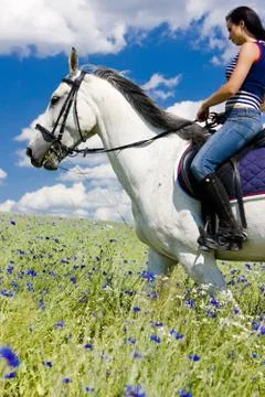 Equestrian on horseback Foto stock