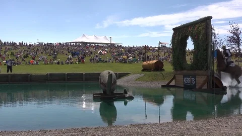 Equestrian Jump by DWKing Video stock 103426315