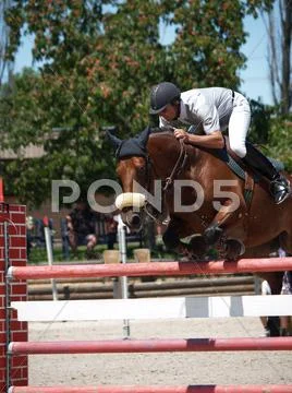 Equestrian jumper Stock Photos