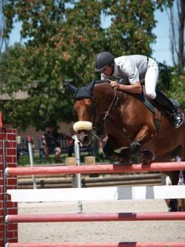 Equestrian jumper Stock Photos