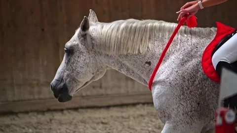 Equestrian pair navigating sandy terrain in indoor obstacle competition. Stock-Footage 250519934