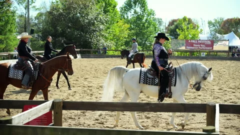 Equestrian performance team riding horses in a sandy outdoor arena. Riders Video stock 322541058