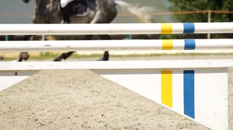 Equestrian show jumping concours Video stock 8560440