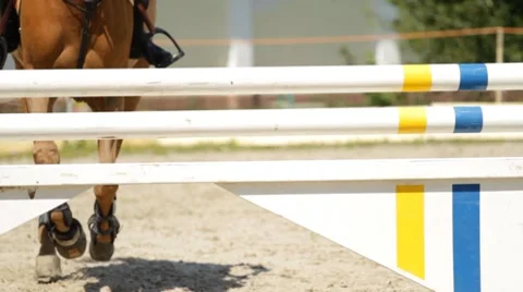 Equestrian show jumping Video stock 8519677