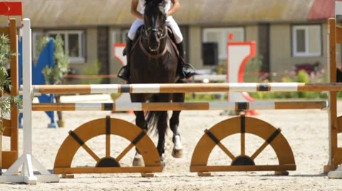 Equestrian show jumping Vidéo 8519682