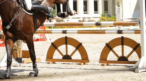 Equestrian show jumping Stock Footage 8523662