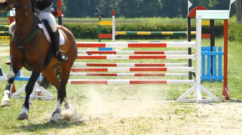 Equestrian show jumping Video stock 24712994
