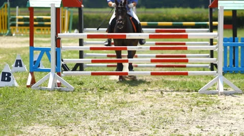Equestrian show jumping Video stock 25014404