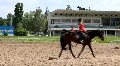 Equestrian sport HD Footage