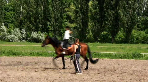 Equestrian sport Stock Footage