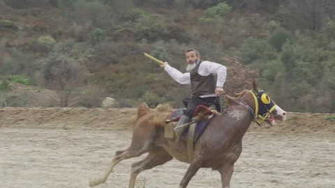 Equestrian Sport Stock-Footage 86679028