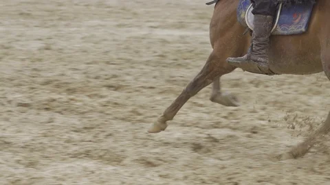 Equestrian Sport Stock-Footage 86688744