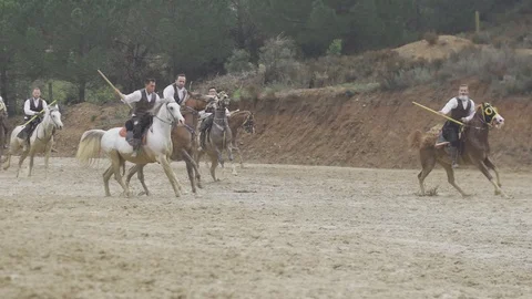 Equestrian Sport Stock-Footage 86688769