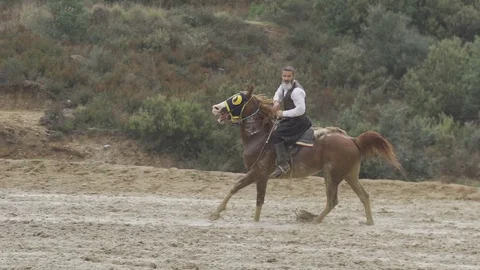 Equestrian Sport Stock-Footage 86688777