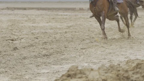 Equestrian Sport Stock-Footage 86688805