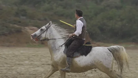 Equestrian Sport Stock-Footage 86688847