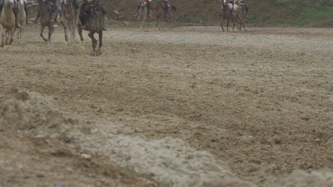 Equestrian Sport Stock-Footage 86688926