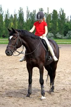 Equestrian sport 写真素材
