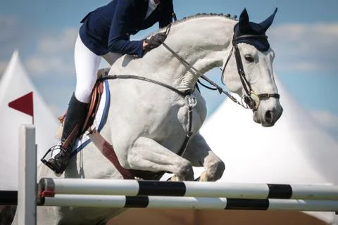 Equestrian Sports, Horse Jumping Stock Photos