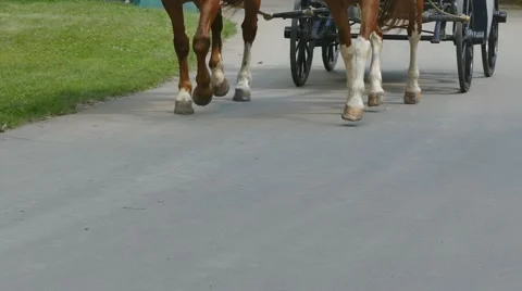 Equestrian team. Bottom part Stock Footage 64881685