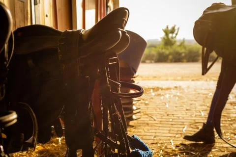 Equestrian tools stored in a stable at evening at the end of the eequestrian Stock Photos