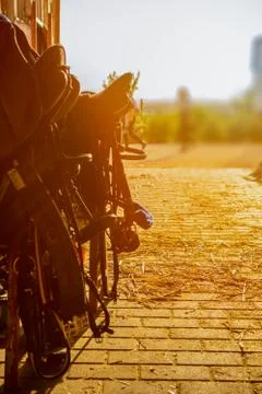 Equestrian tools stored in a stable at evening at the end of the eequestrian Stock Photos