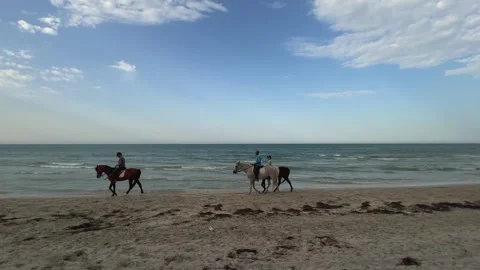 Equestrians at sunset on seashore Видео 280690715