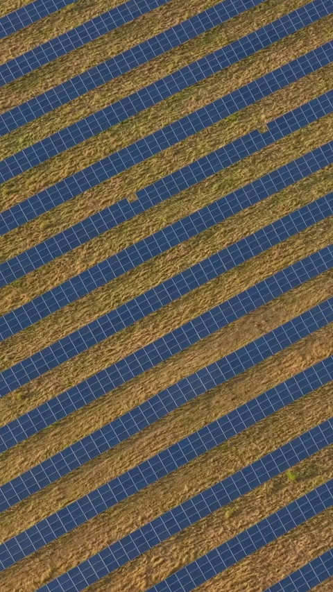Equidistant Solar Panel Rows Creating An Abstract Geometric Pattern Over Dr.. Stock Footage 338995570