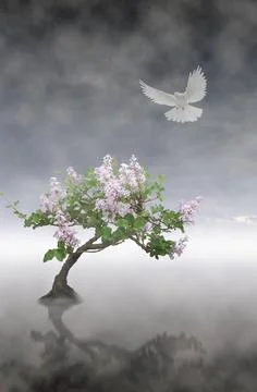 Equilibrium Concept: Only a quiet mind correctly interprets the informatio... Stock Photos
