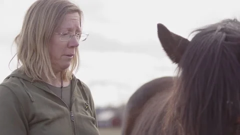 Equine experiential learning as woman interacts with chestnut horse, Stock Footage 274288511