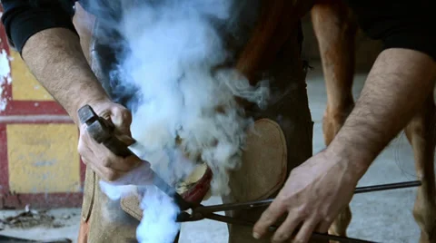 Equine farrier Видео 33531852