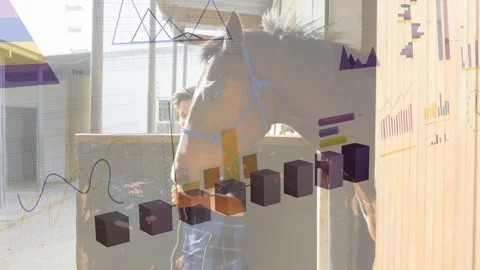 Equine tech opening stall door, leading horse out while AR charts overlaying Stock Footage 333705052