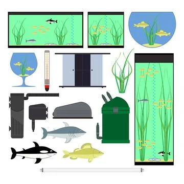 Equipment for aquarium. Underwater vector elements with fishes plants stones. Stock Illustration