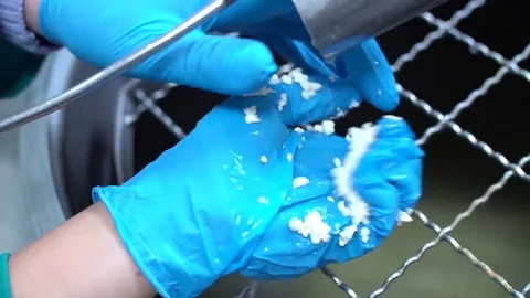 Equipment For Cheese Production Stock Footage 69102285